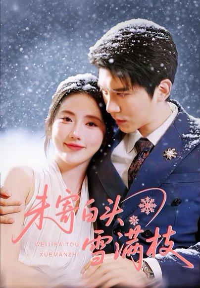 未寄白头雪满枝（61集）金鑫欣&冯思源封面图 - 古装虐恋短剧
