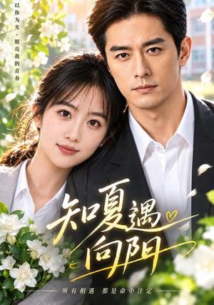 《知夏遇向阳》短剧封面
