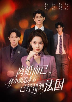离婚而已,林小姐追求者已经排到法国(60集)解颜希&王子铭(1080P)(夸克网盘) 离婚而已,林小姐追求者已经排到法国(60集)解颜希&王子铭(1080P)(夸克网盘)封面
