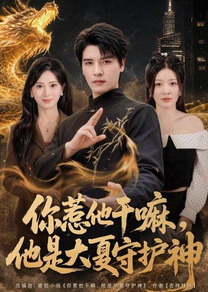 你惹他干嘛，他是大夏守护神（78集）李彬航＆林初（百度网盘）封面