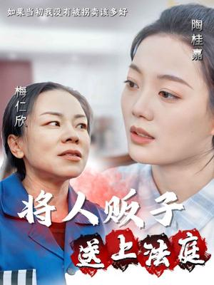 将人贩子送上法庭（30集）（夸克网盘）封面
