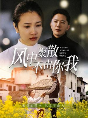 风中聚散不由你我（41集）焦娜&周湉羽（夸克网盘）封面图 - 剧情短剧