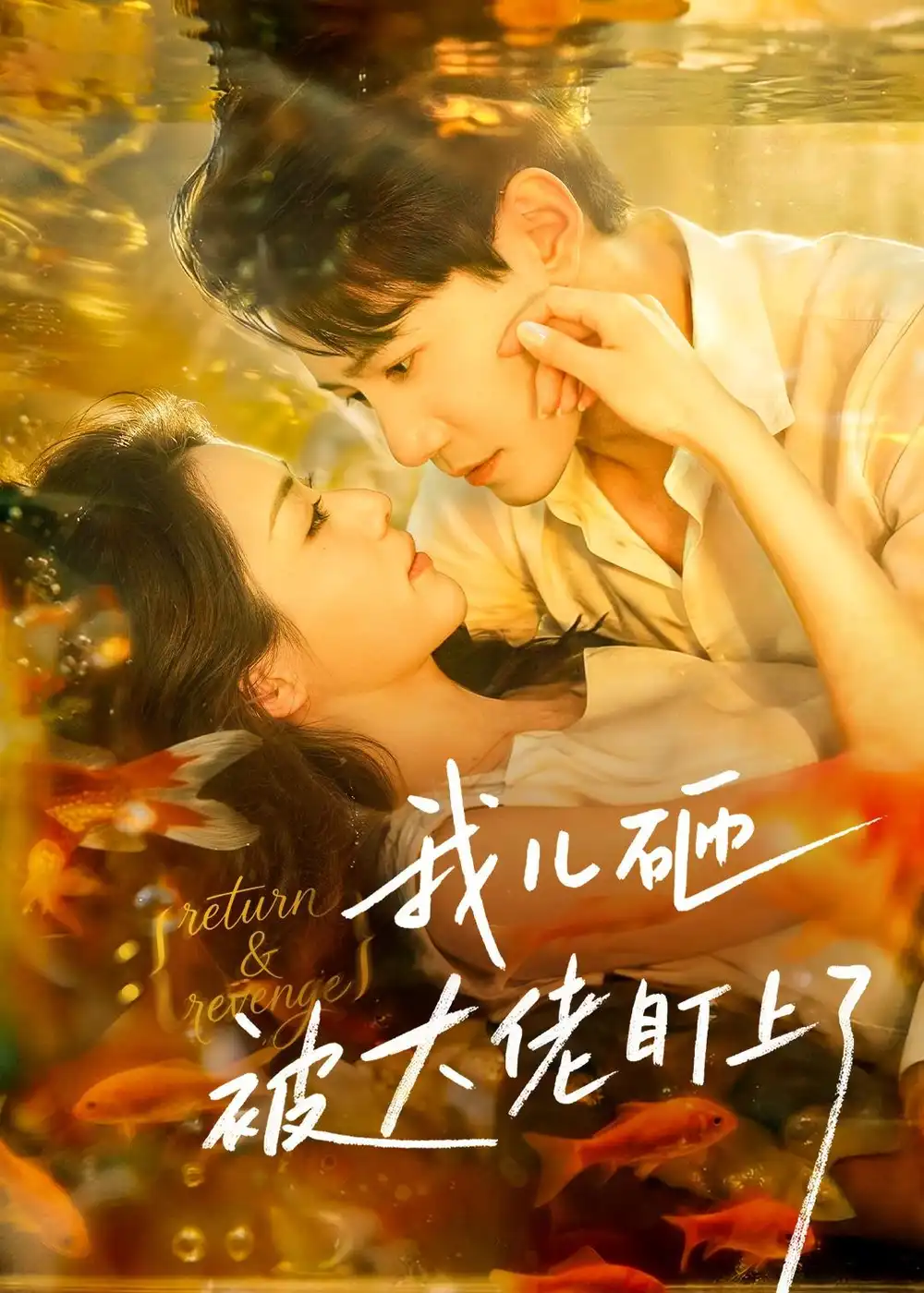 《我儿砸被大佬盯上了（67集）邱柏皓＆胡少琛（夸克网盘）》短剧封面
