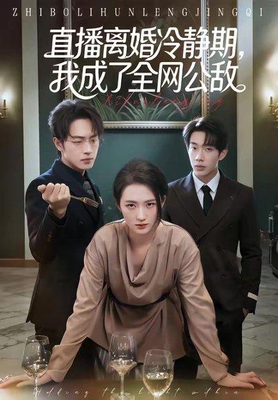 直播离婚冷静期，我成了全网公敌（70集）于斯年＆江潼（百度网盘）封面图 - 都市短剧