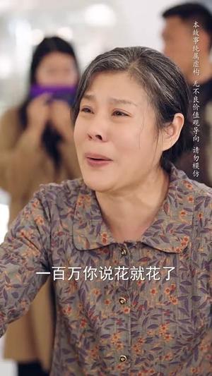 养母的秘密（34集）（夸克网盘）封面