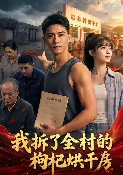 我拆了全村的枸杞烘干房（40集）（百度网盘）封面
