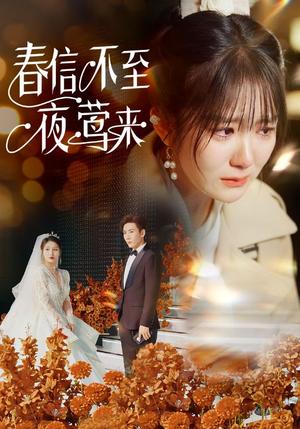 春信不至夜莺来（50集）冯易鑫（夸克网盘）封面图 - 古装短剧