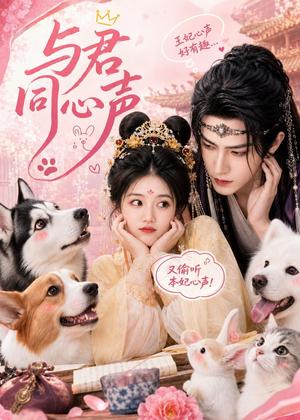 与君同心声（88集）（夸克网盘）封面