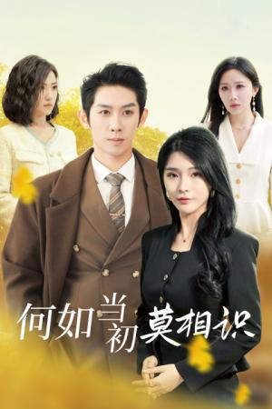 何如当初莫相识（36集）彭羽（夸克网盘）封面图 - 都市短剧