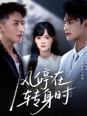 风停在转身时（72集）黄小再＆秦远封面图 - 爱情短剧