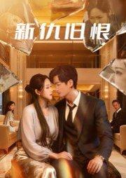新仇旧恨封面图 - 武侠短剧