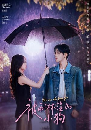 被雨淋湿的小狗（80集）林秋一＆滕泽文（1080P）（夸克网盘）封面