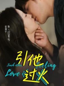 引他过火（40集）（夸克网盘）封面图 - 都市情感短剧