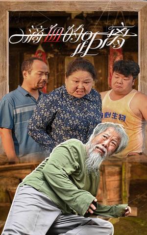 城北暖洋洋（60集）（夸克网盘）封面图 - 短剧短剧