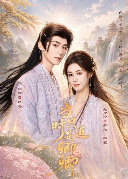 当时只道是卿卿（60集）杨泽＆赵夕汐（百度网盘）封面