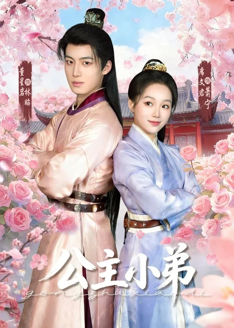《公主小弟（74集）董星岩＆席文君（百度网盘）》短剧封面