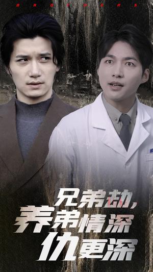 兄弟劫养弟情深仇更深（28集）（夸克网盘）封面图 - 短剧短剧