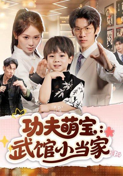 功夫萌宝：武馆小当家（62集）封面图 - 萌宝短剧