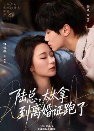陆总，太太拿到离婚证跑了（86集）钟政＆何依婷（夸克网盘）封面图 - 都市短剧