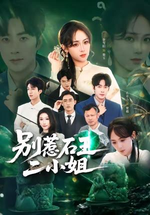 别惹石王二小姐（60集）李雪阳＆孔奇力（夸克网盘）封面