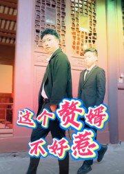 这个赘婿不好惹封面图 - 逆袭短剧