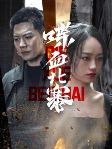 喋血北寨（90集）（夸克网盘）封面图 - 动作短剧