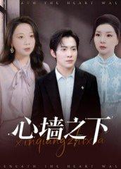 心墙之下（43集）赵宏甲&郑抒淼封面图 - 爱情短剧