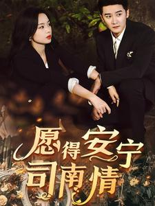 愿得安宁司南情（76集）（夸克网盘）封面图 - 古装短剧