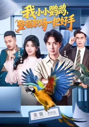 我小小鹦鹉,整顿职场一把好手 《我小小鹦鹉,整顿职场一把好手》短剧封面