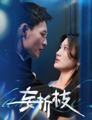 妄折枝(53集)冯铭潮&杨珊子(夸克网盘) 妄折枝(53集)冯铭潮&杨珊子(夸克网盘)封面