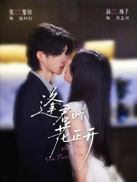 《逢君时花正开（72集）张集骏＆杨殊予（1080P）（夸克网盘）》短剧封面
