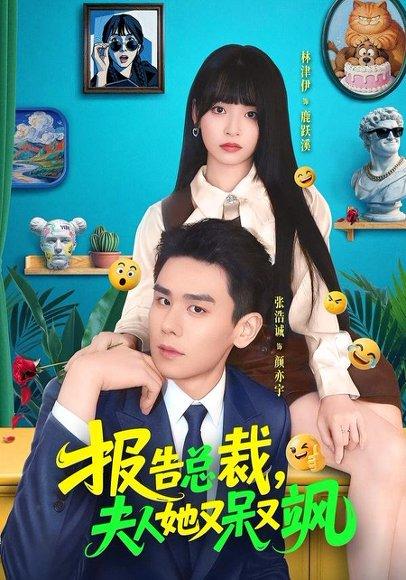 报告总裁，夫人她又呆又飒（82集）张浩诚＆林津伊（百度网盘）封面