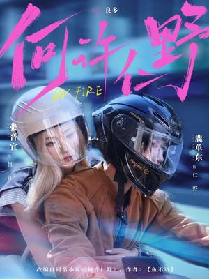 何许仁野（60集）鹿单东＆张晋宜（夸克网盘）封面图 - 情感短剧