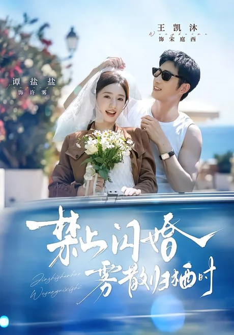 《禁止闪婚，雾散归栖时（66集）王凯沐＆谭盐盐（1080P）（夸克网盘）》短剧封面