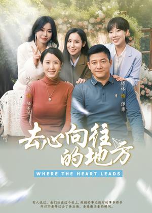 去心向往的地方（60集）刘美希&滕琳（夸克网盘）封面图 - 短剧短剧