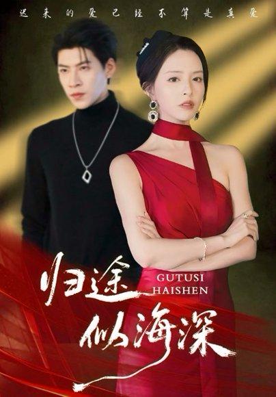 归途似海深（61集）刘蔓莉&王为洋封面图 - 剧情短剧