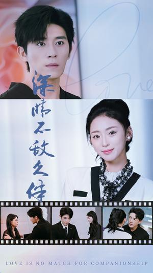 不可饶恕的他们（101集）（夸克网盘）封面图 - 短剧短剧