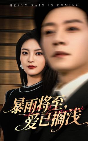 暴雨将至爱已搁浅（50集）宋晨&伍怡(1)（夸克网盘）封面