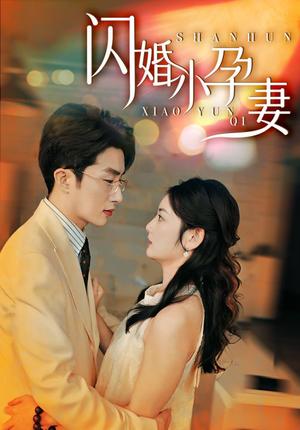 爱你是终身浪漫的开始（98集）张珊（夸克网盘）封面图 - 短剧短剧