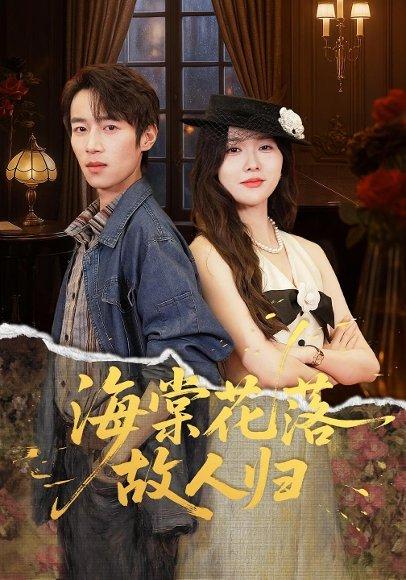 海棠花落故人归（78集）封面图 - 剧情短剧