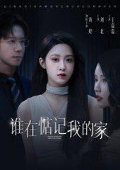 谁在惦记我的家（30集）刘北&王嘉嘉封面图 - 家庭短剧