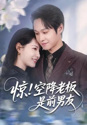 惊！空降老板是前男友（65集）董洁&王金泽（夸克网盘）封面图 - 都市短剧