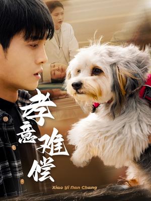 孝意难偿（32集）（夸克网盘）封面图 - 家庭短剧