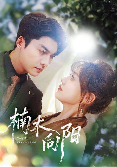 楠木向阳（70集）方正男＆仇乐瑶封面图 - 都市爱情短剧