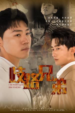 歧路兄弟（63集）（夸克网盘）封面图 - 短剧短剧