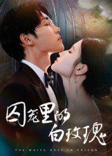 《囚笼里的白玫瑰》短剧封面