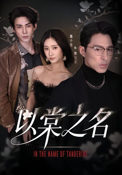《以棠之名（66集）魏小也&冯文栋（百度网盘）》短剧封面