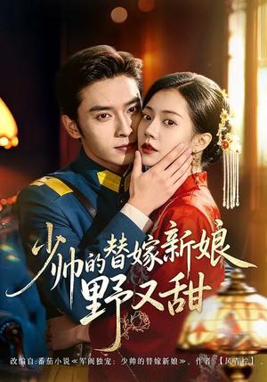 少帅的替嫁新娘野又甜（60集）王博＆孙婉晴（夸克网盘）封面图 - 年代短剧