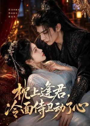 枕上逢君，冷面侍卫动了心（92集）（夸克网盘）封面