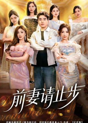 前妻请止步（80集）秦英皓＆成瑾菫（夸克网盘）封面图 - 都市短剧